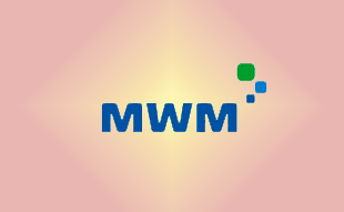 ✓ MWM 0341 2442 Запчасть MWM 